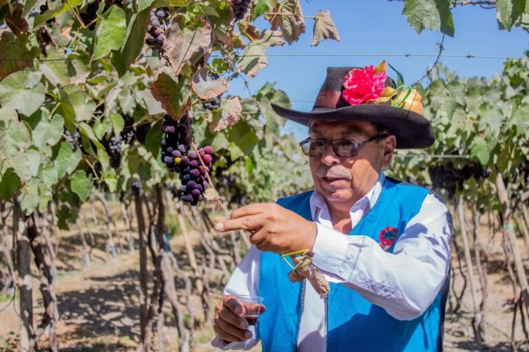 Programa de Estudios de Producción Agropecuaria festejó el día del campesino